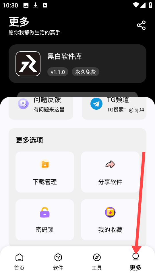 黑白软件库免费版