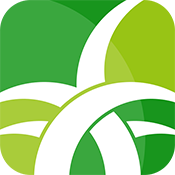 野草助手TV版最新