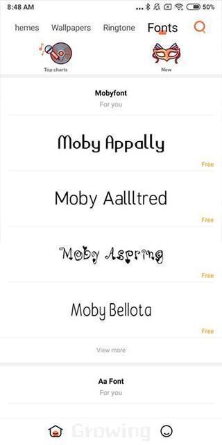 小米主题国际版app