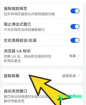 bobo浏览器无国界全球通